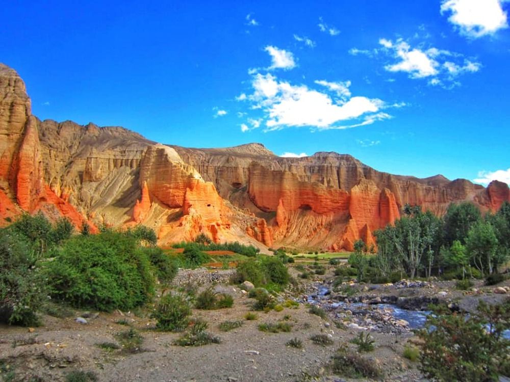 Adventure Paradise Mustang