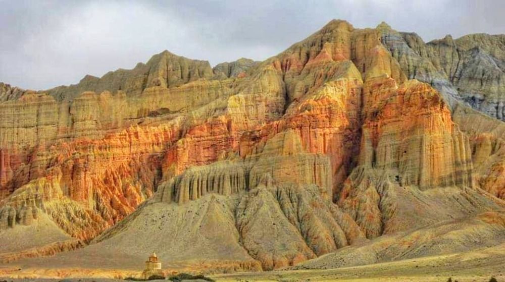 Naturally  Adventure Mustang