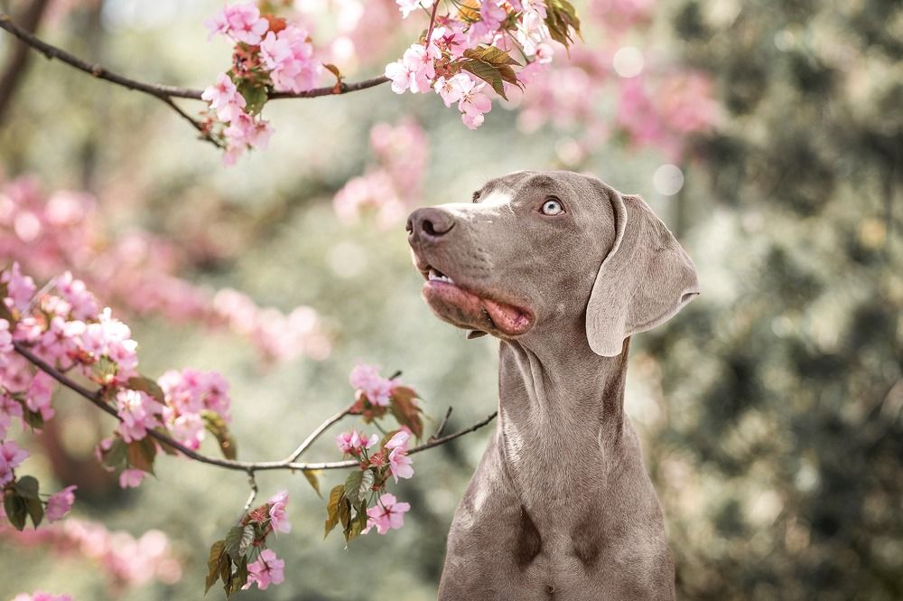 Photograph by Karina Saarestik