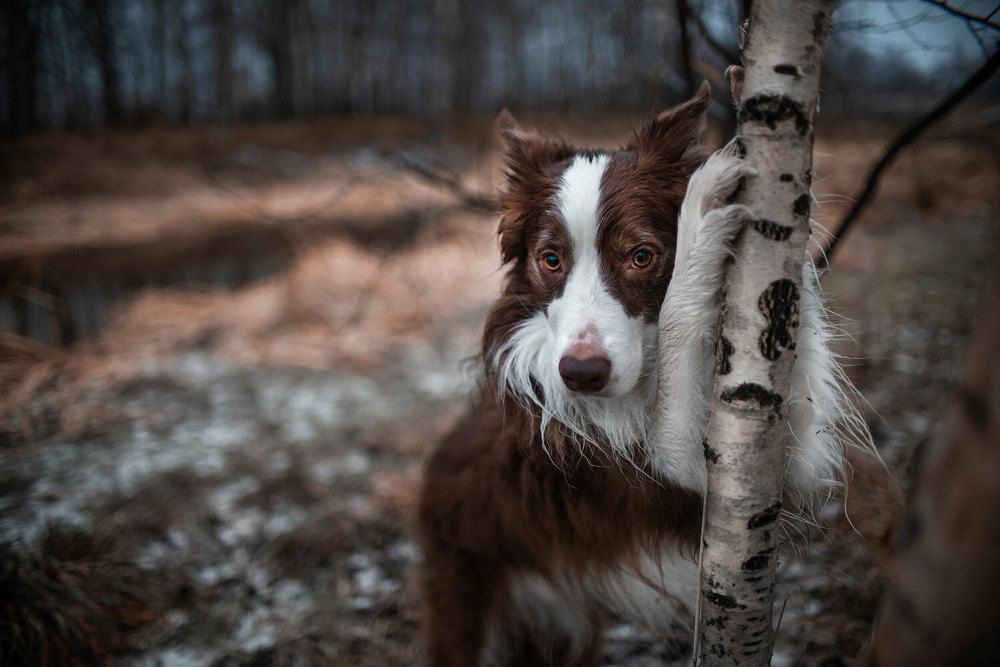 Photograph by Анна Пушина