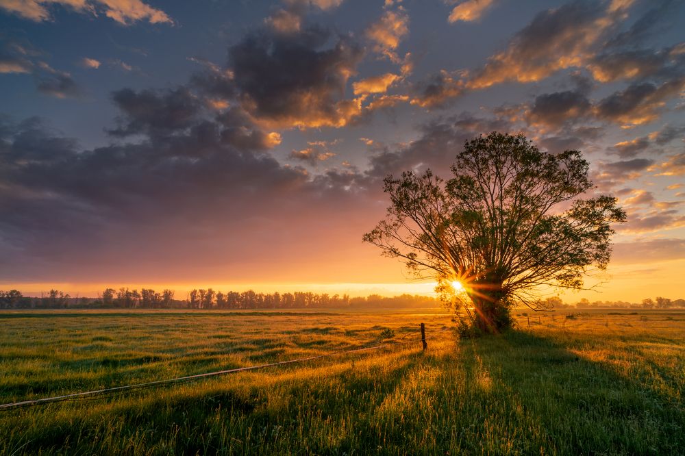 Photograph by Sławomir Sot