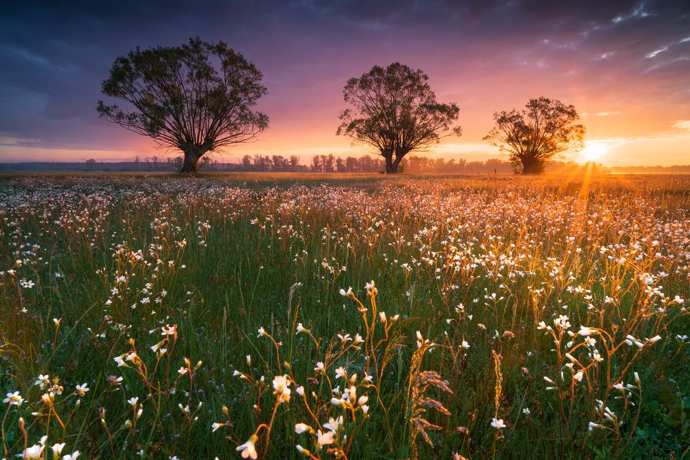 Photograph by Sławomir Sot