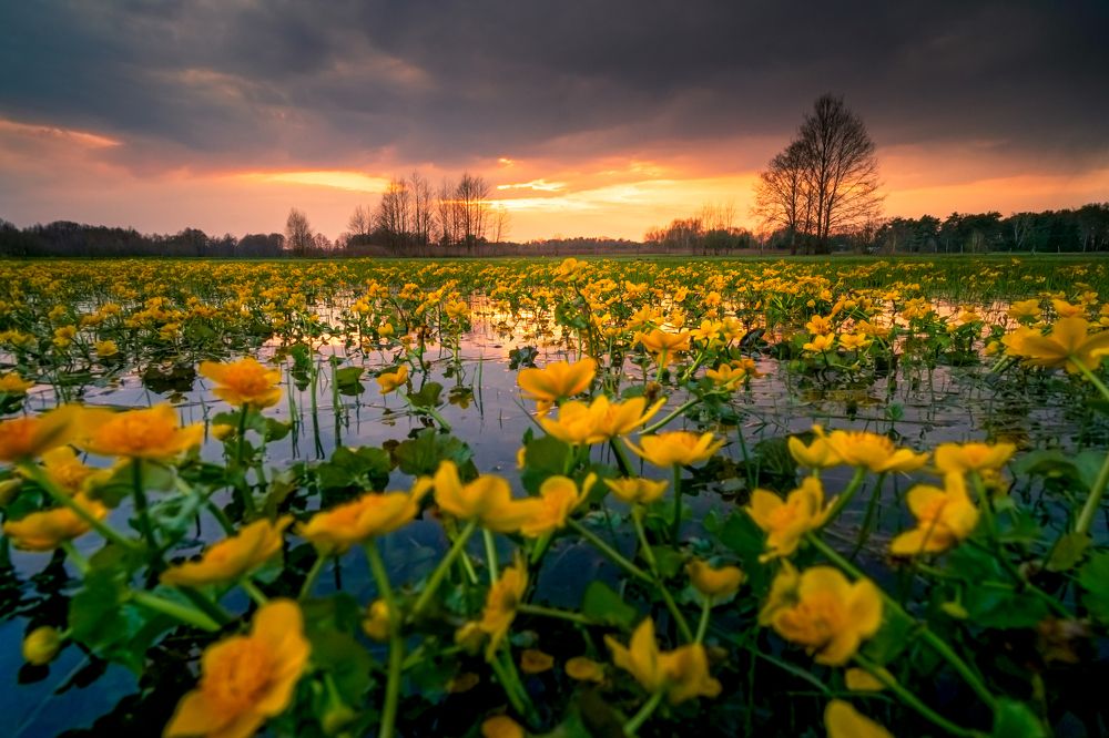 Photograph by Sławomir Sot