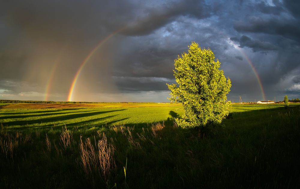 Майская радуга