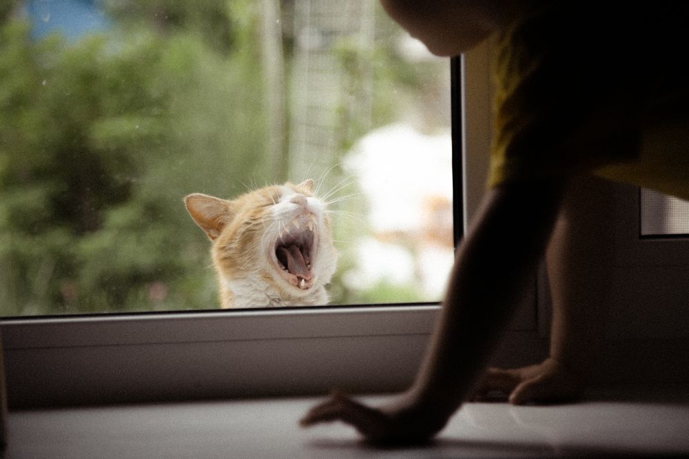 Photograph by Инна Тычная