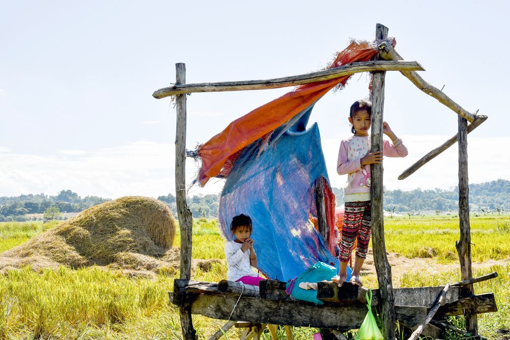 WATCHING THE HARVEST