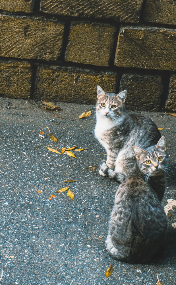 Photograph by Ayxan Mamedov