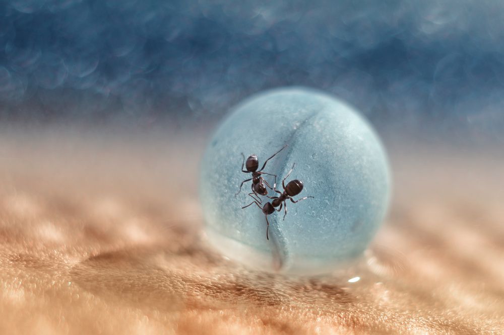 Граница территорий.