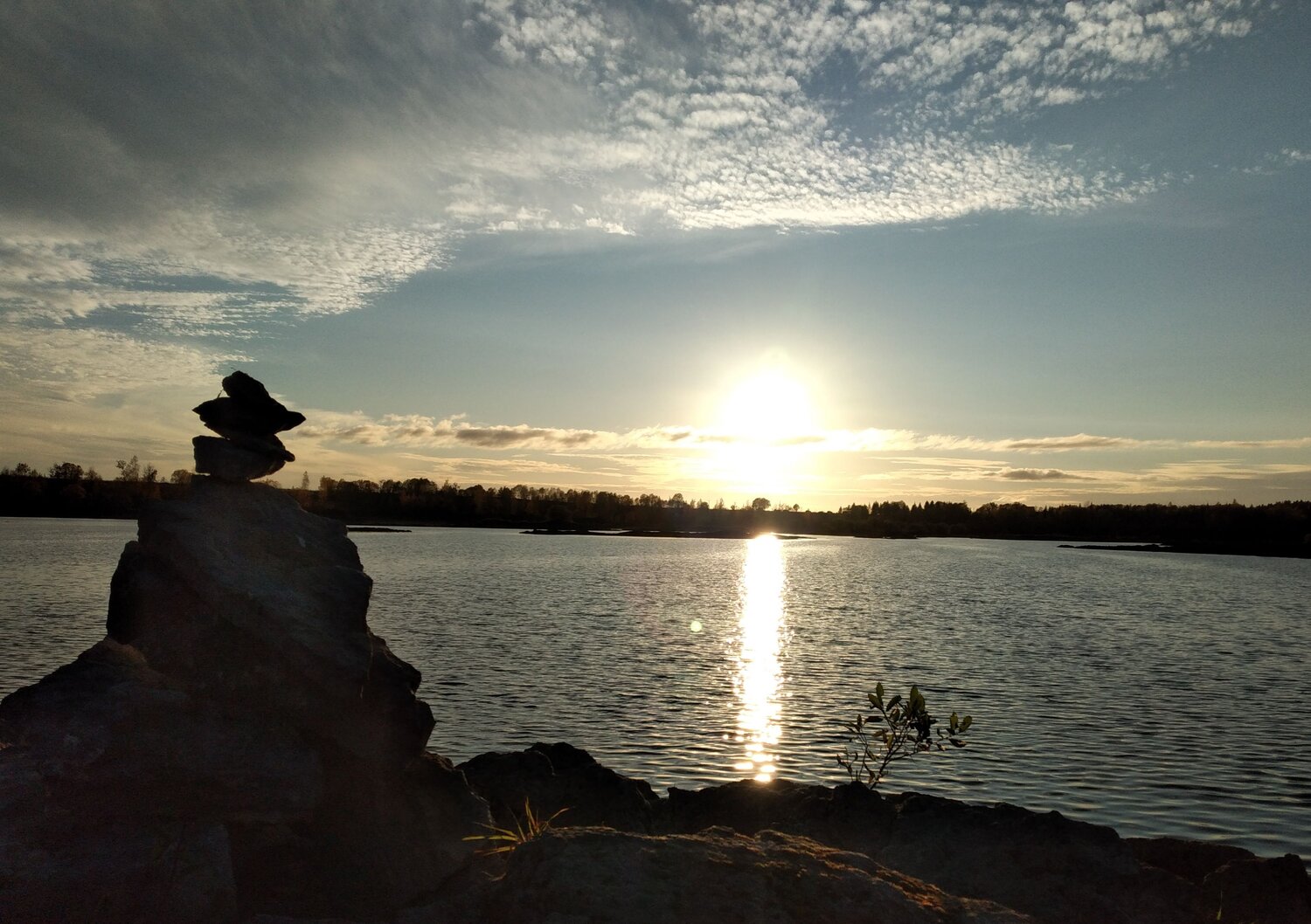 Photo #6128917