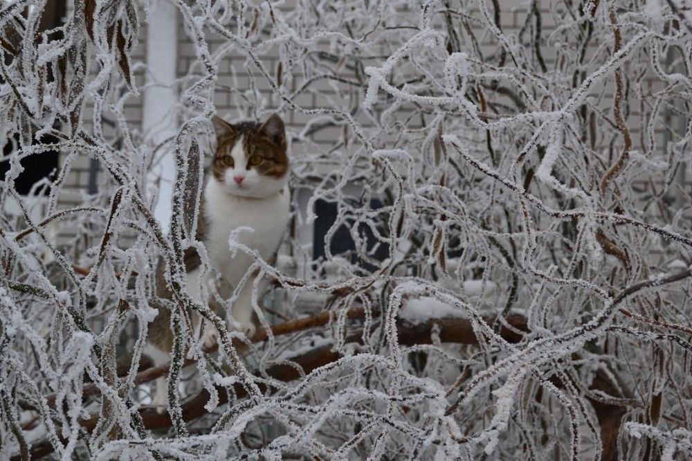 Photograph by Дарья Турова