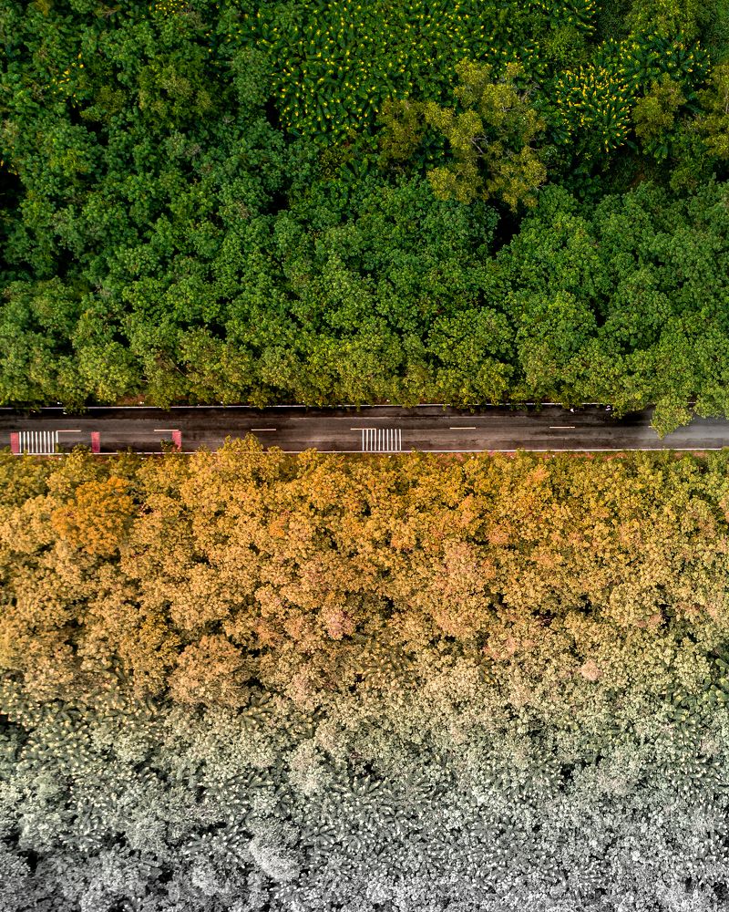 Photograph by Dem Kerrigan