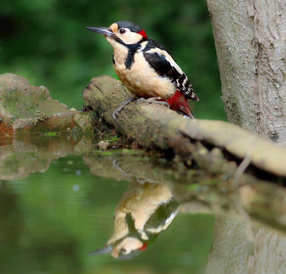 Photograph by Ambi Puvi