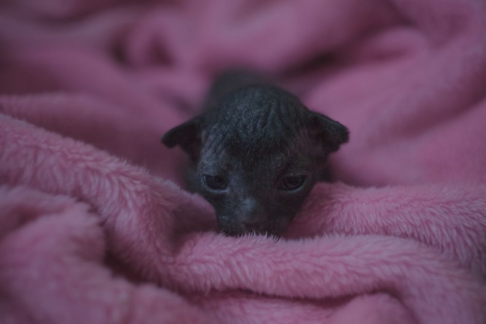 Photograph by Александра Игнатьева