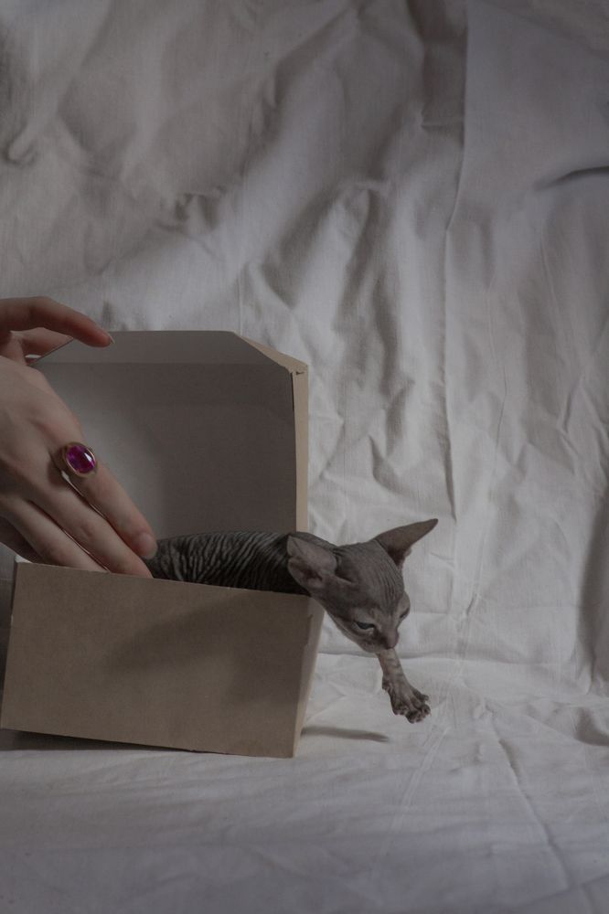 Photograph by Александра Игнатьева