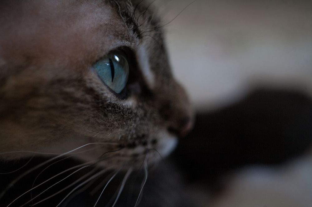 Photograph by Александра Игнатьева