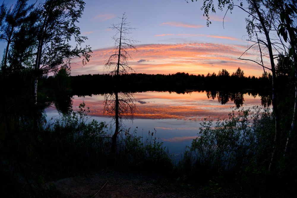 Photograph by Валерий Толмачев