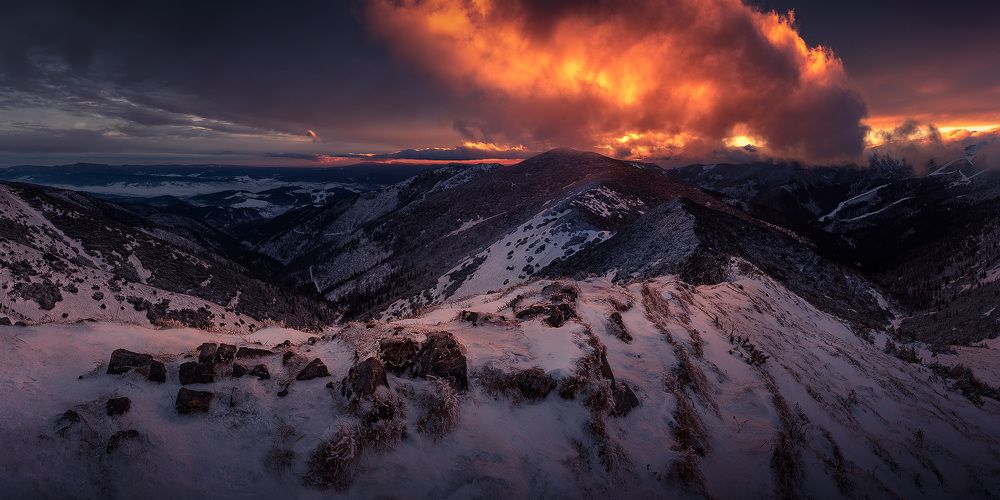 Photograph by Stefan Condik