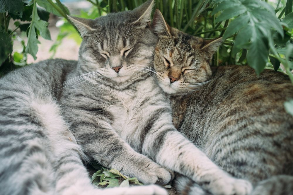 Photograph by Оля Лукаш