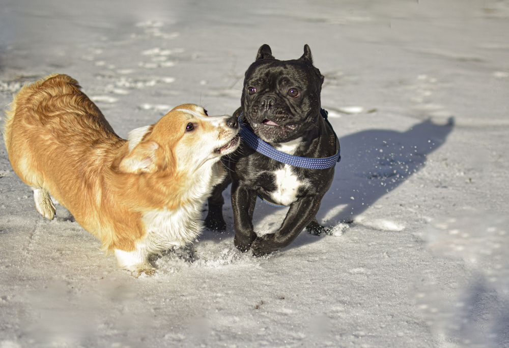 Фотография автора Альбина Хвастунова