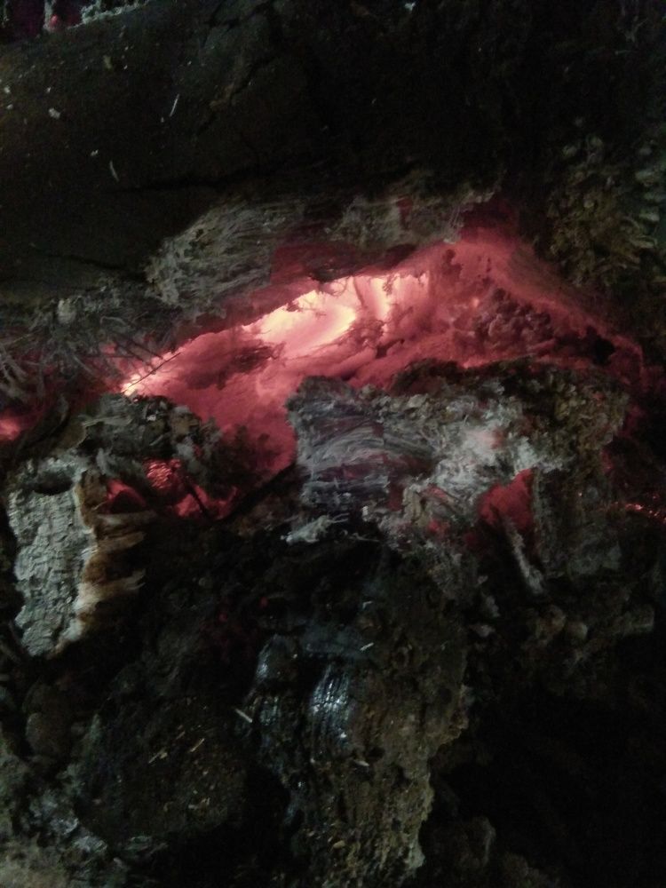 Photo #6129118
