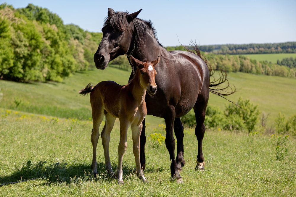 Photograph by Оксана Пучкова