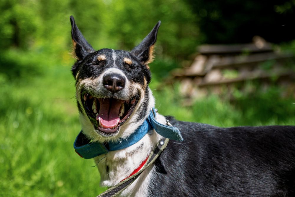 Photograph by Оксана Пучкова