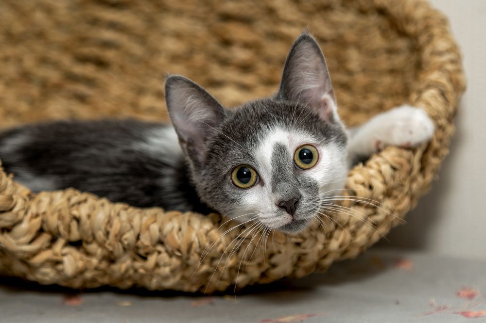 Photograph by Оксана Пучкова