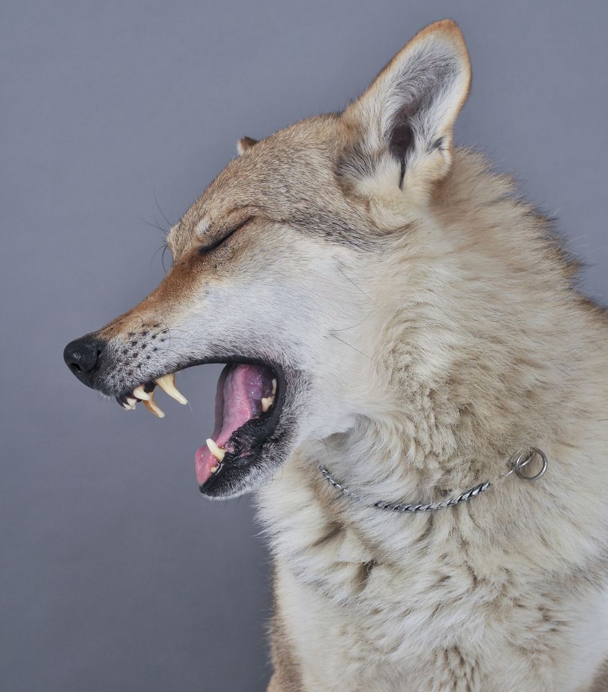 Photograph by Вероника Куликова