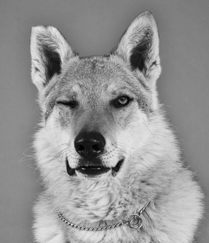 Photograph by Вероника Куликова