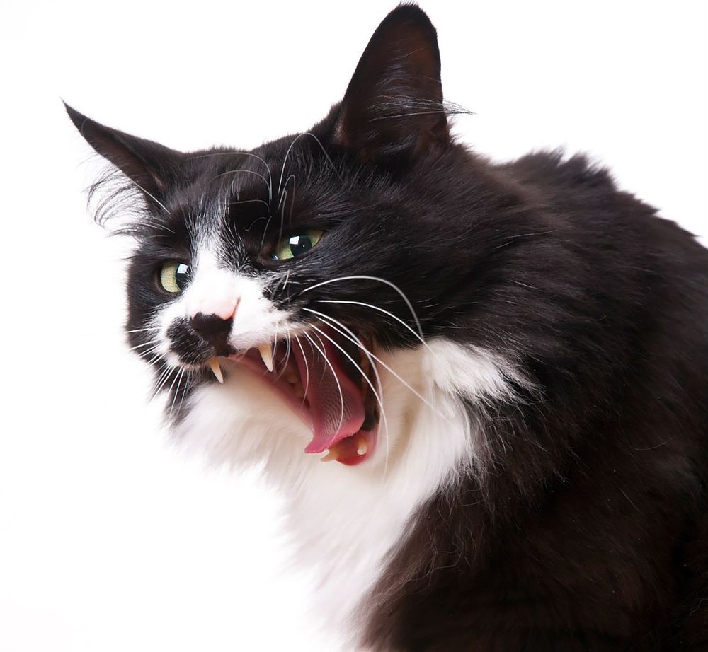 Photograph by Вероника Куликова