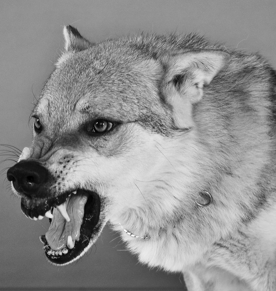 Photograph by Вероника Куликова