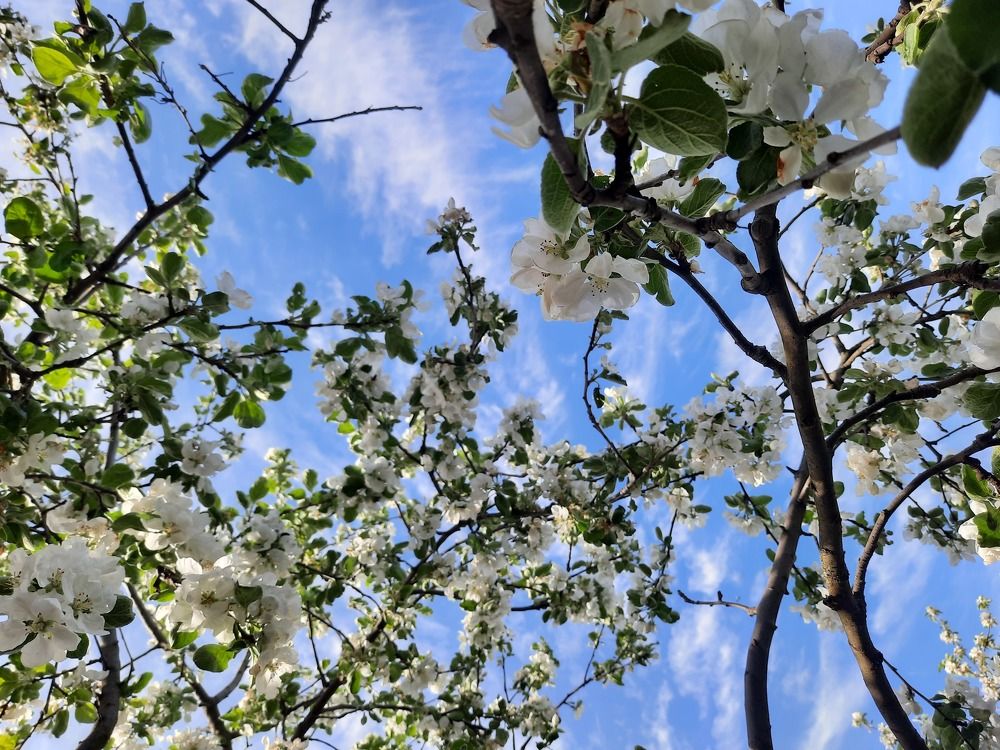 Photograph by Татьяна Афанасьева