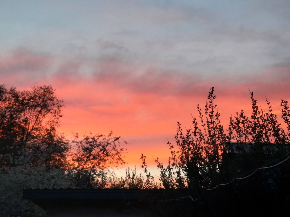 Photograph by Татьяна Афанасьева