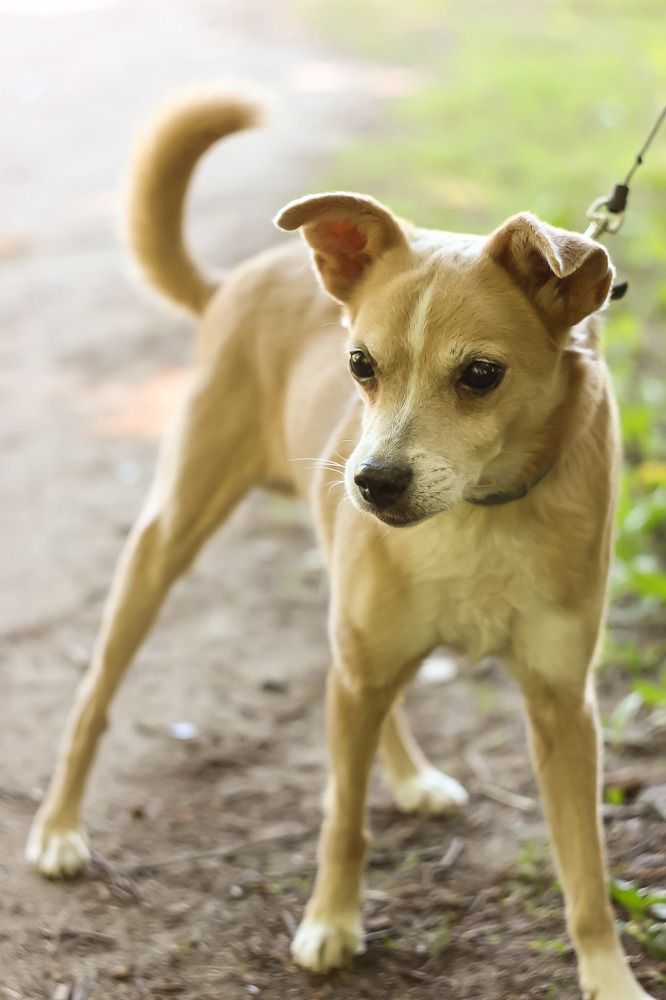 Всегда на готове