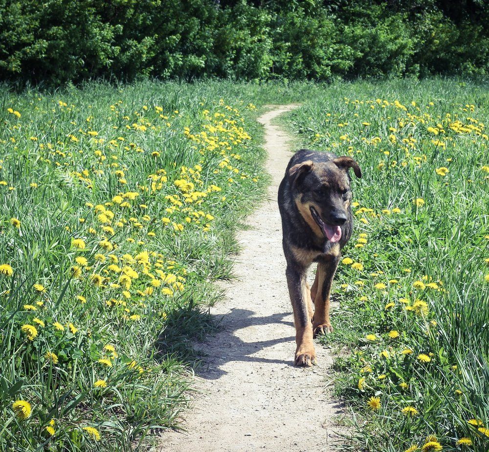 Дела не ждут