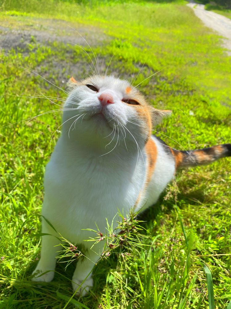 Photograph by Мари Полищук