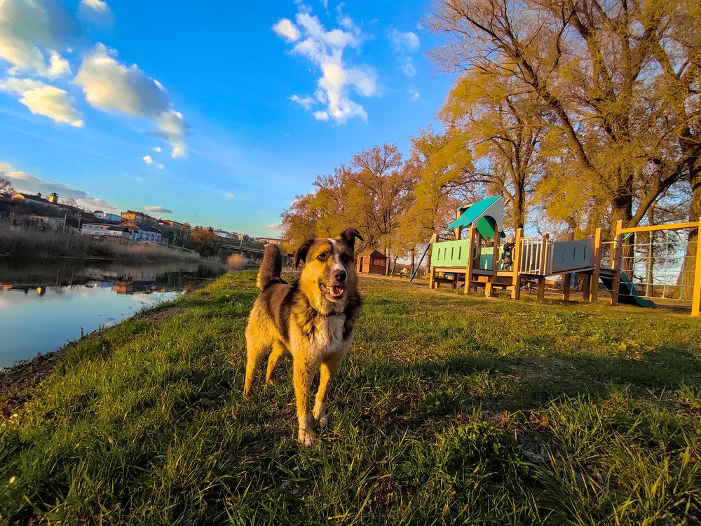 Photograph by Лидия Самойлова