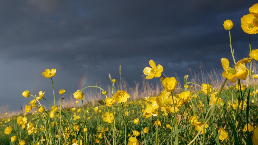 Фотография автора Сыч Римма