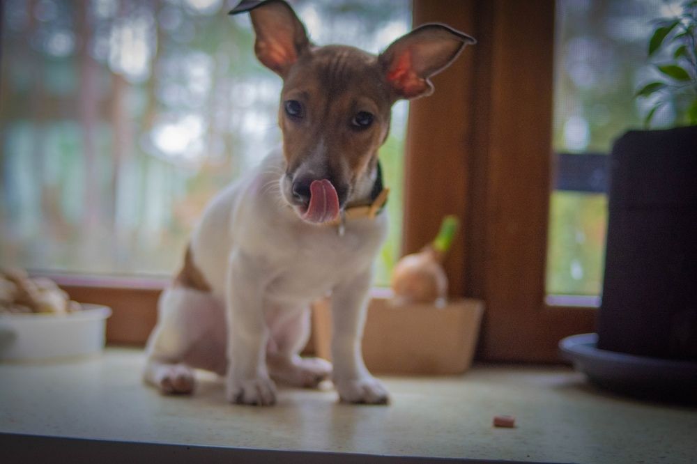 Photograph by Алёна Бушвехтерс