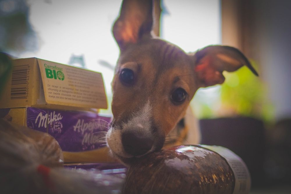 Photograph by Алёна Бушвехтерс