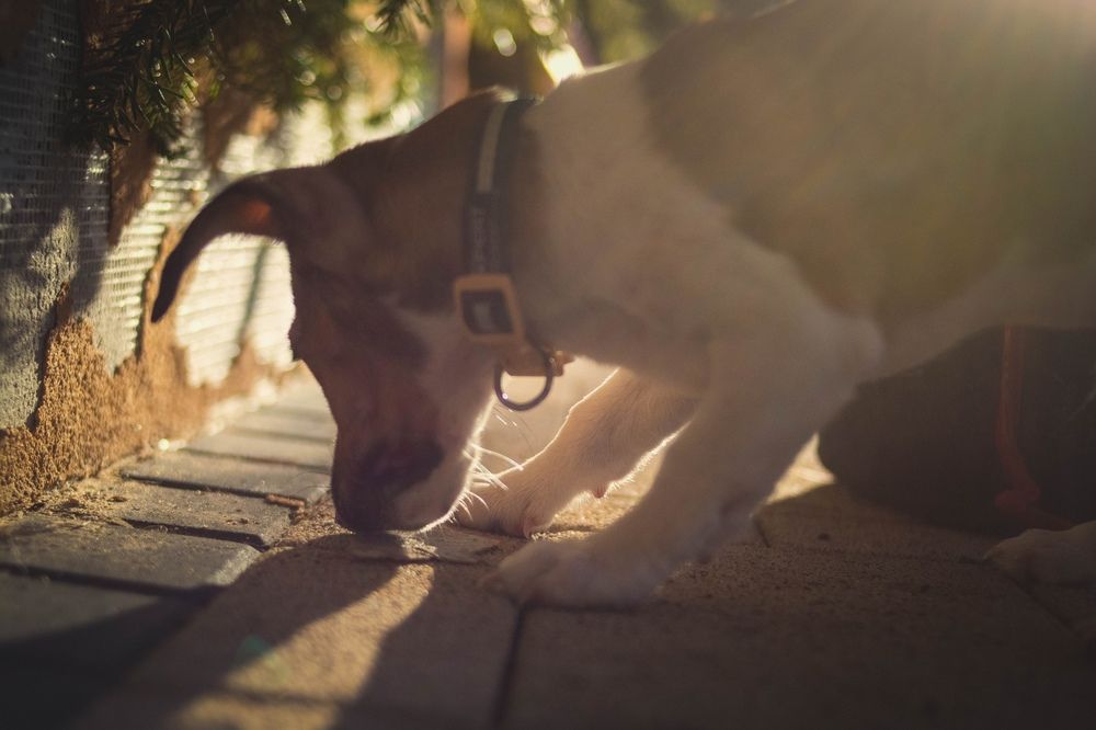 Photograph by Алёна Бушвехтерс