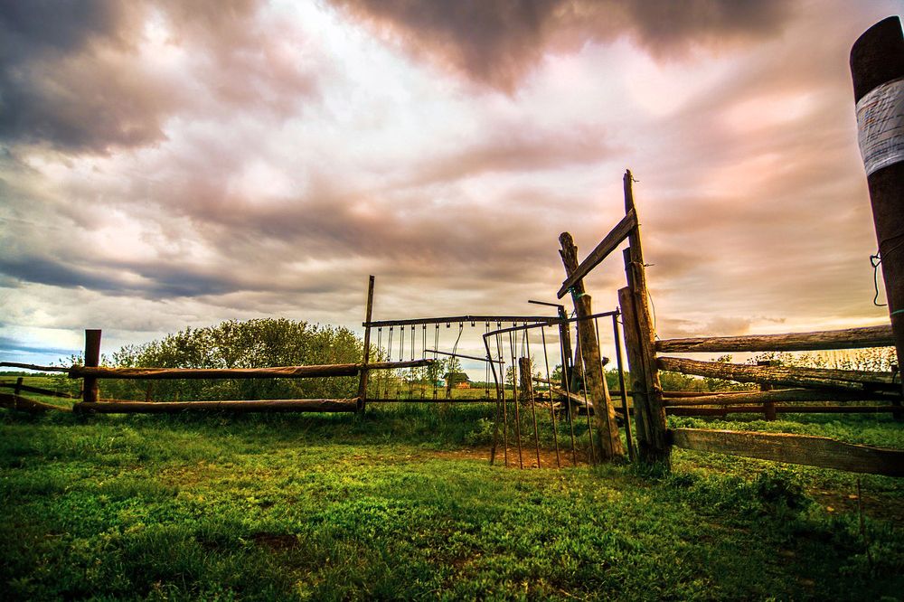 Photograph by Алёна Бушвехтерс