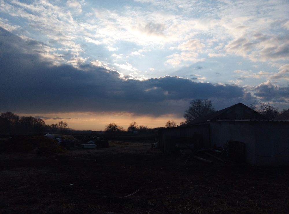 Photo #6129394