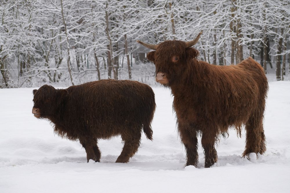 Photograph by Татьяна Крахина