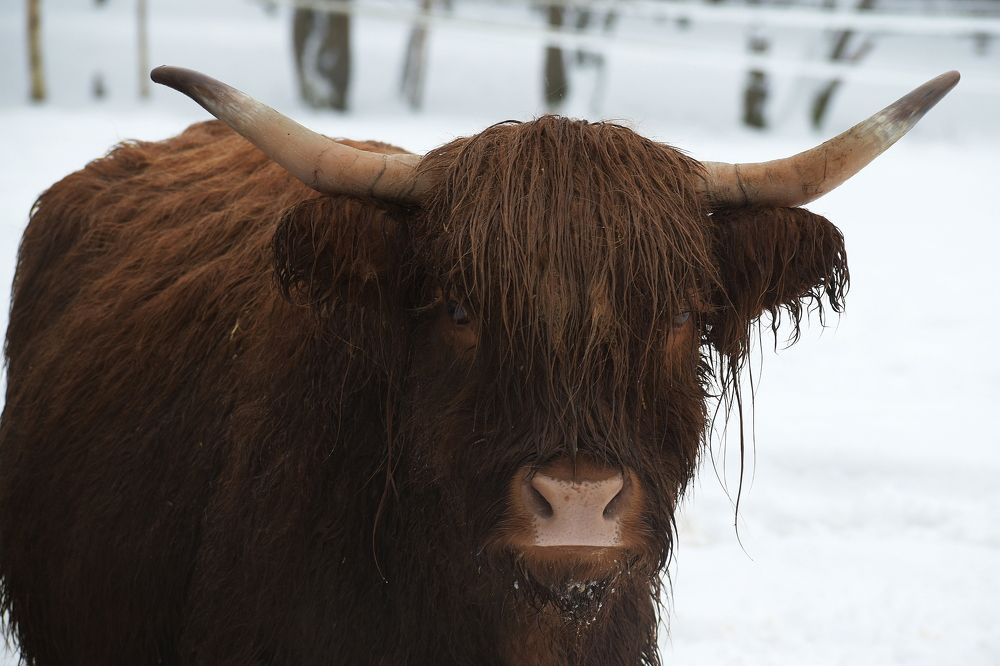 Photograph by Татьяна Крахина