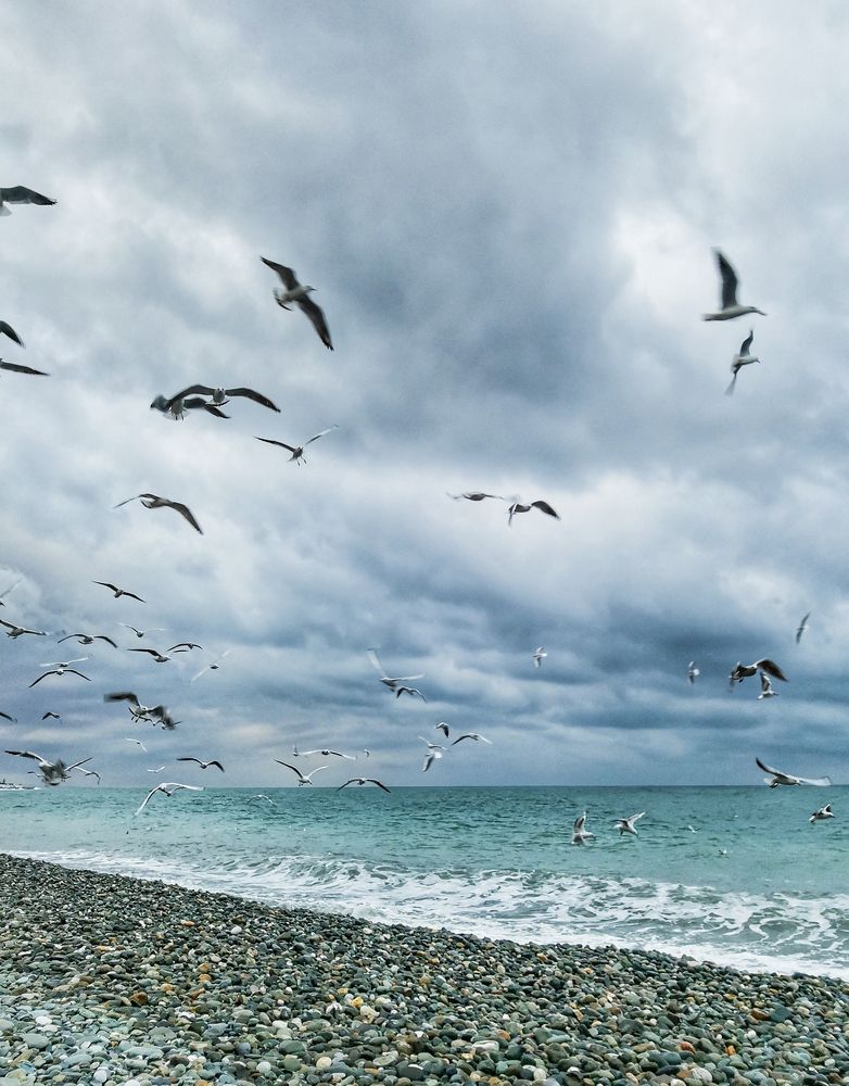 Photograph by Анатоль Кожанов