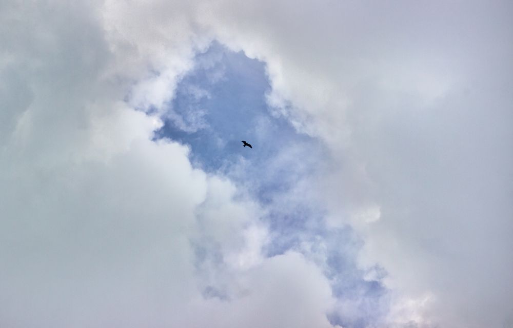 Flying through the clouds