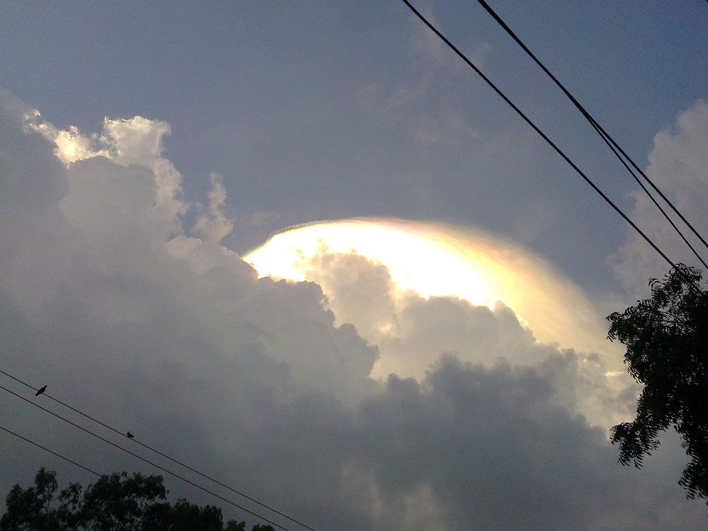 Фотография автора Santanu Dasgupta