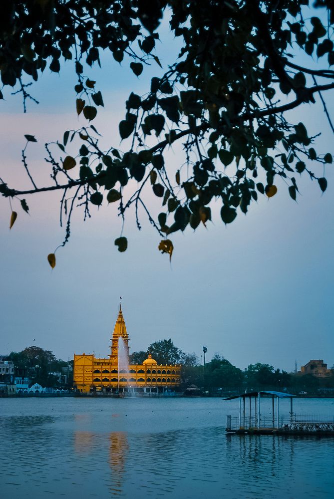 Фотография автора Priya Ojha