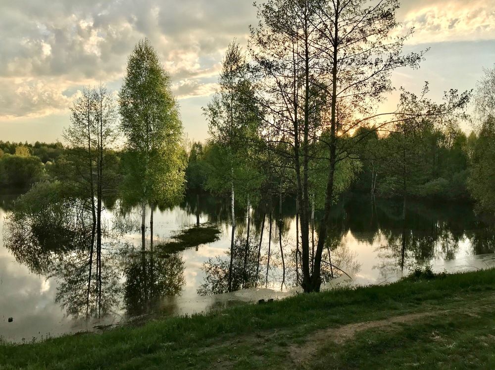 Photograph by Kuzmichev Alexey